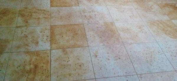 Parisian Travertine | Single (2' x 2') Seamless Skin Concrete Stamp - Image 2