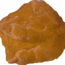 Prehistoric-fossilized-large-velociraptor-footprint-accent-concrete-stamp