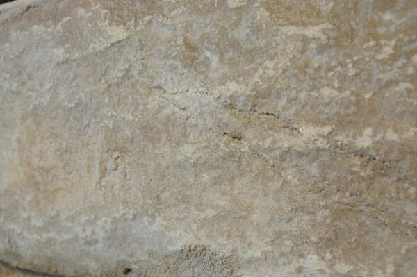 Tru Tex Roller Sleeve - Limestone - Image 4