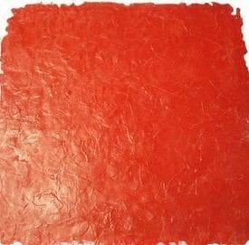 India Water Slate | Single (3' x 3') Seamless Skin Concrete Stamp