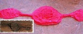 Tru Tex Wood Knot Tool