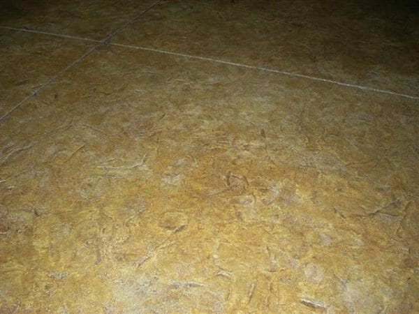 India Water Slate Seamless Skin Concrete Stamp Set -  4 pc. - Image 4