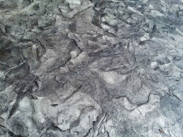 Monster Slate | Single (2' x 2') Seamless Skin Concrete Stamp - Image 3