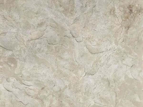 Monster Slate | Single (2' x 2') Seamless Skin Concrete Stamp - Image 5