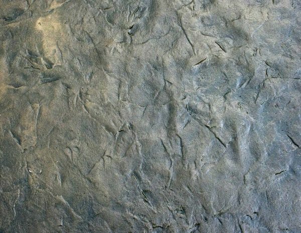 India Water Slate | Single (3' x 3') Seamless Skin Concrete Stamp - Image 6