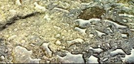 Concrete Sealers and Coatings