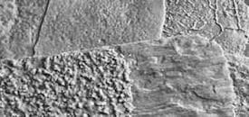 Vertical Concrete Texture Skins
