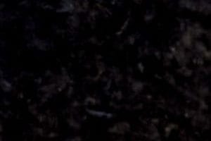 black wb