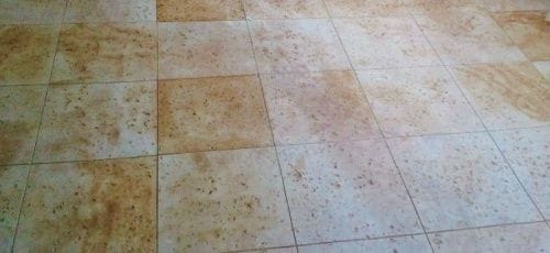 parisian travertine seamless skin
