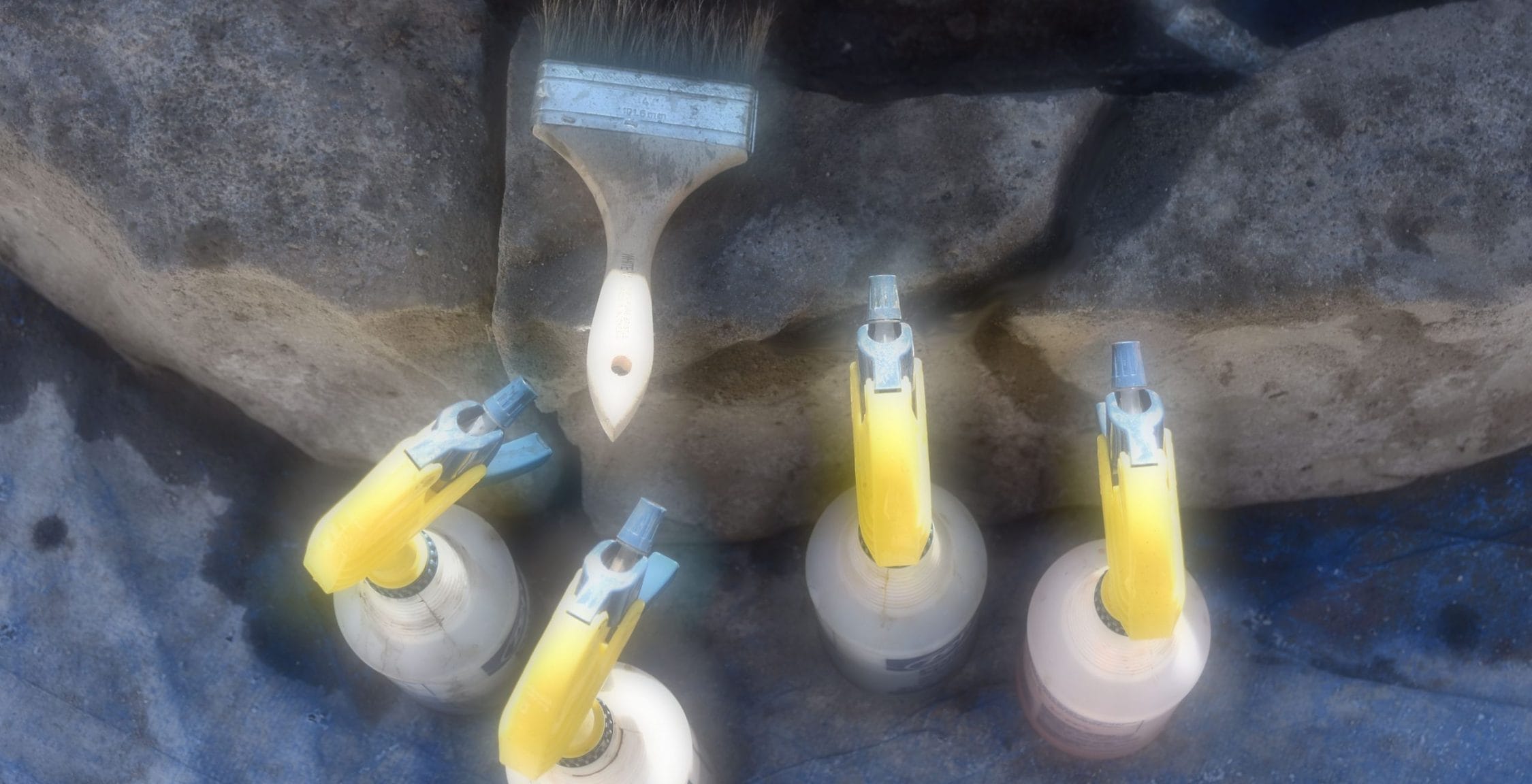 staining at world of concrete