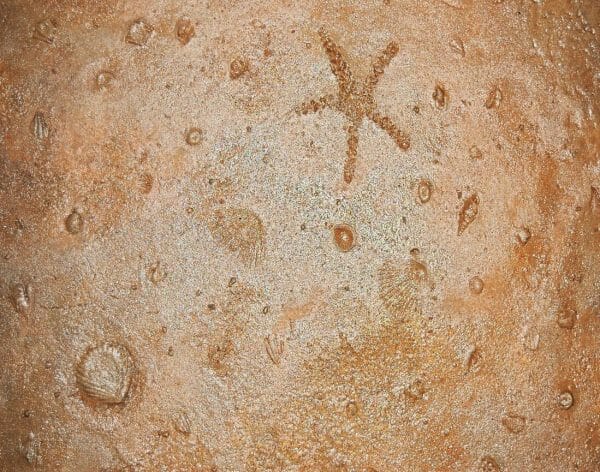 Seascape 6 pc. (3' x 3') Seamless Skin Concrete Stamp Set - Image 2