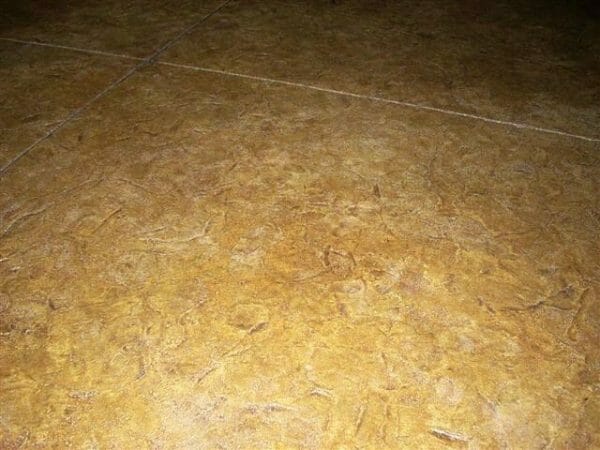India Water Slate | Single (2' x 2') Seamless Skin Concrete Stamp - Image 6