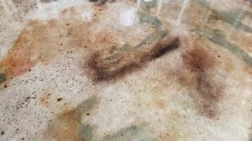 reax-stained-concrete-floor