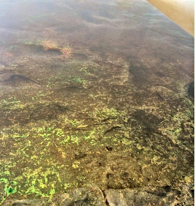 Water-based concrete stain application