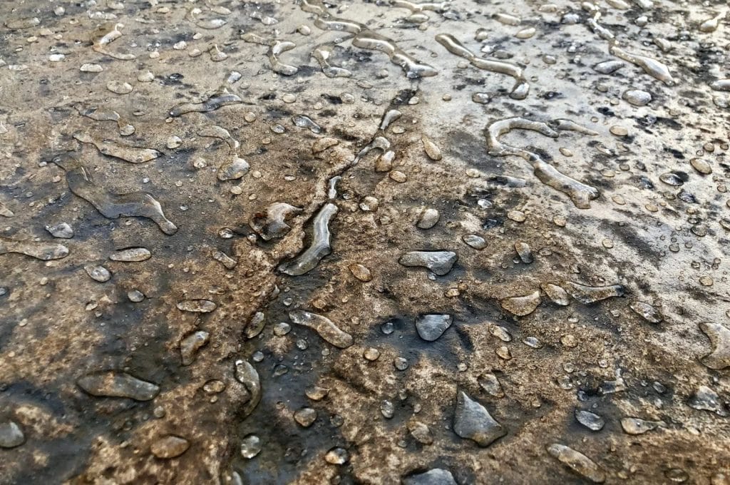 How to choose a concrete sealer