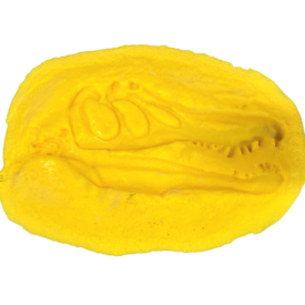 Fossil - BARYONIX HEAD